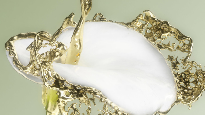 Floral Studies - © MUZZIN+SAMIRI &ndash; Creative Studio for CGI & Digital Art