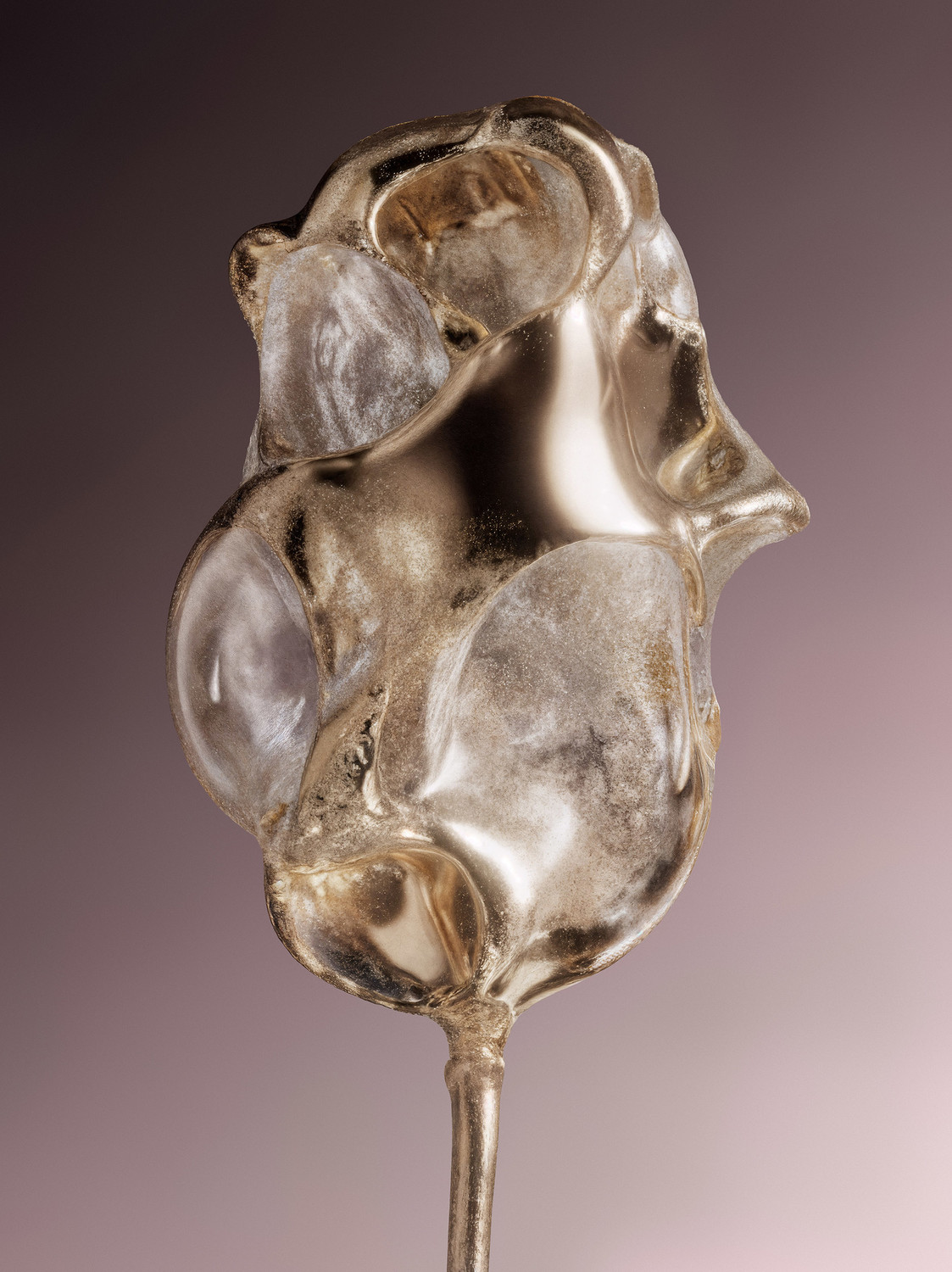 New Hybrids - © Benjamin Muzzin