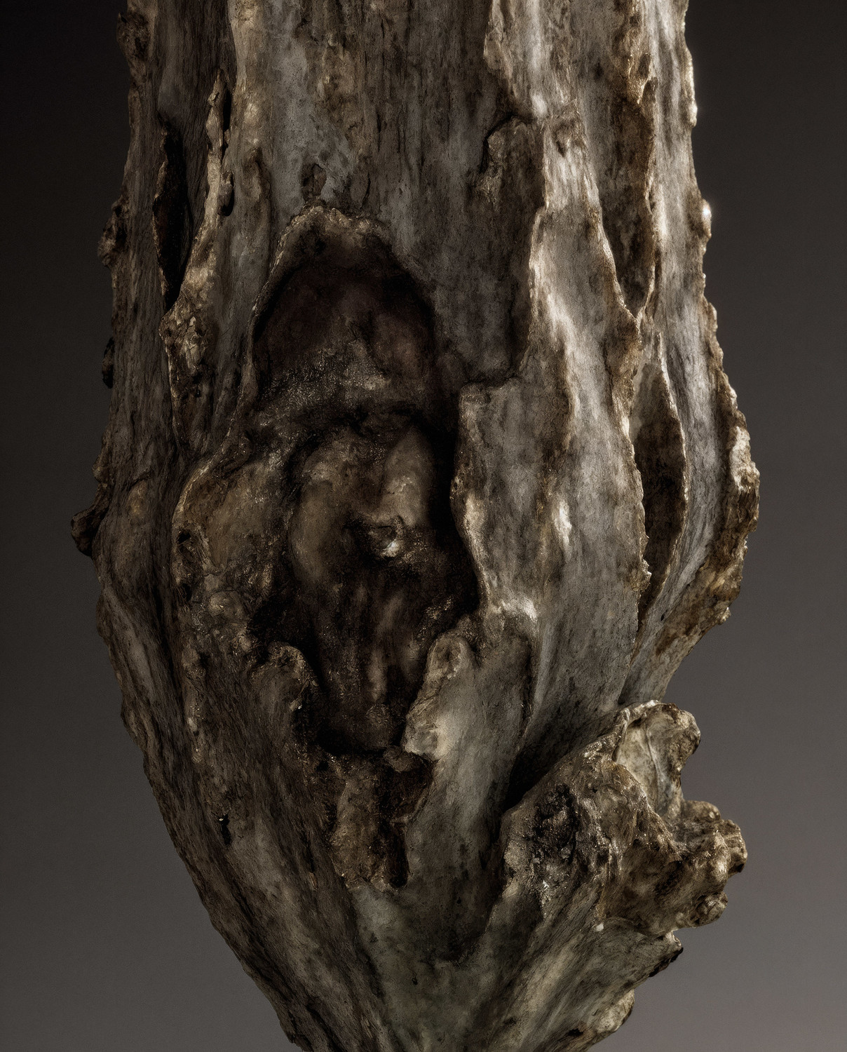 New Hybrids - © Benjamin Muzzin