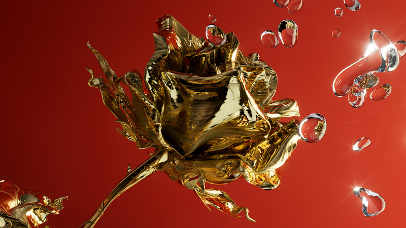 New Year Rose - © Benjamin Muzzin