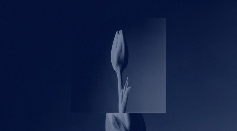 Ore - © MUZZIN+SAMIRI &ndash; Creative Studio for CGI & Digital Art